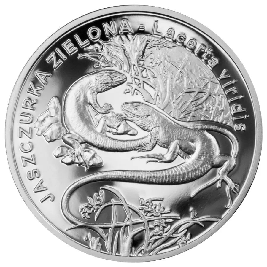 20 złotych 2009 - Zwierzęta świata - Jaszczurka zielona