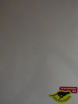 Przekładka biała - format A4 - 10 sztuk