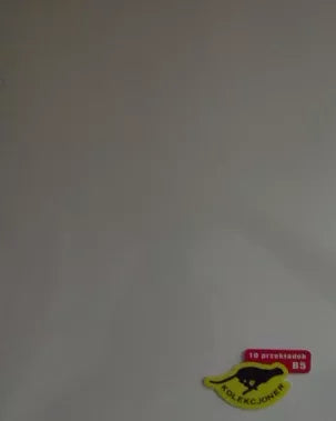 Przekładka biała - format B5 - 10 sztuk